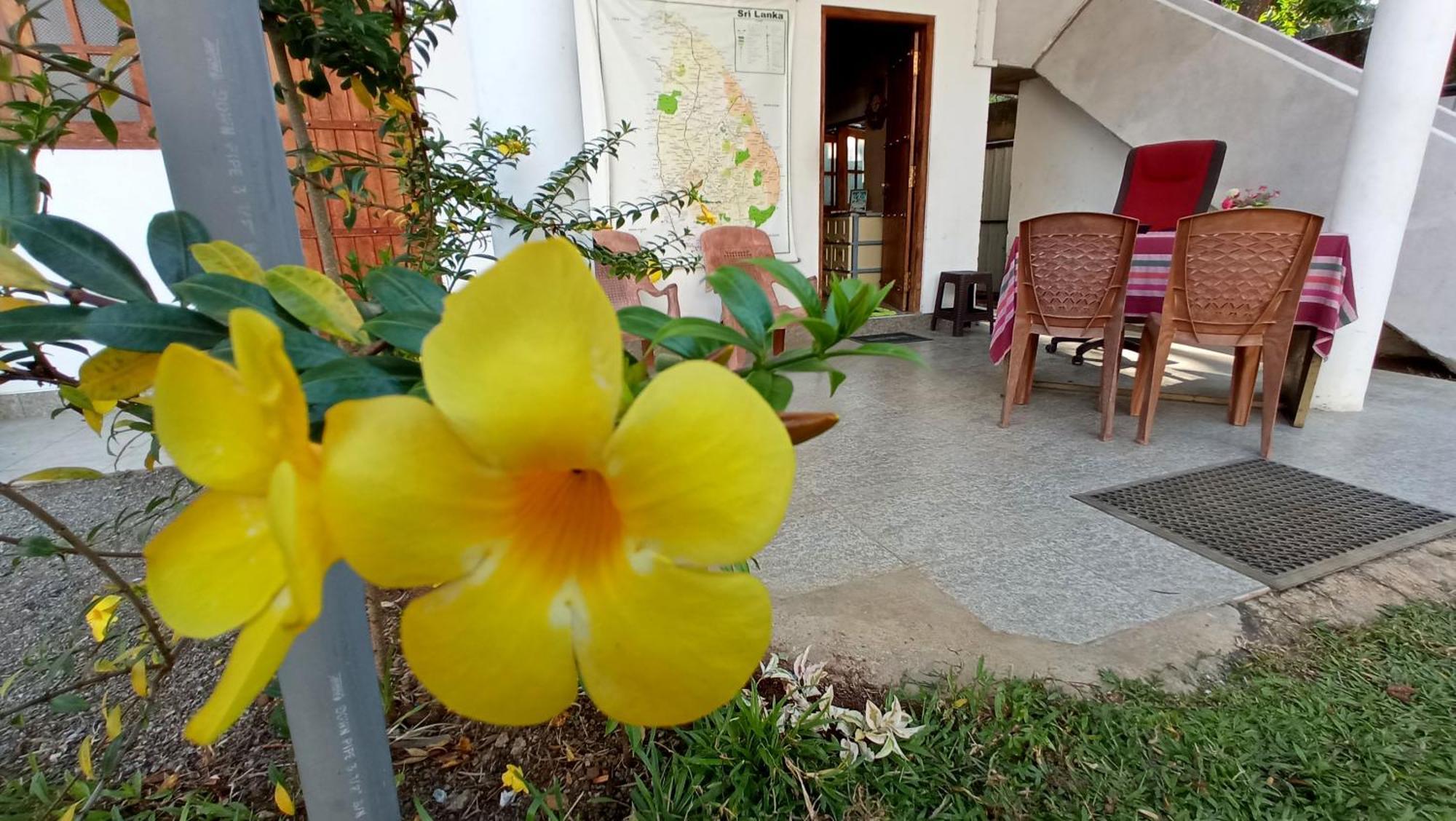 Safari Horizon Udawalawe Bed and Breakfast Eksteriør billede